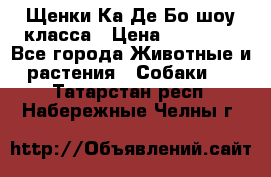 Щенки Ка Де Бо шоу класса › Цена ­ 60 000 - Все города Животные и растения » Собаки   . Татарстан респ.,Набережные Челны г.